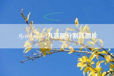 湛江九宫图分割线图片