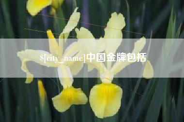 湛江中国金牌包括
