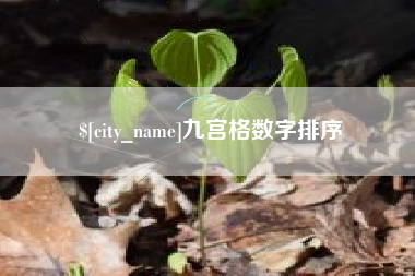 湛江九宫格数字排序