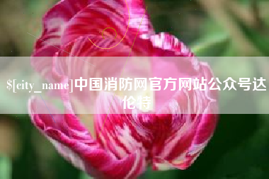 湛江中国消防网官方网站公众号达伦特
