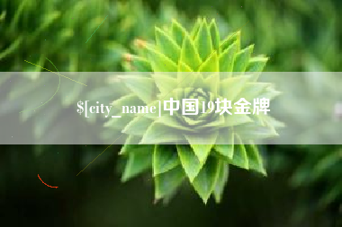 湛江中国19块金牌