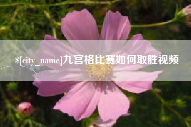 湛江九宫格比赛如何取胜视频