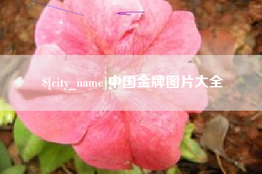 湛江中国金牌图片大全