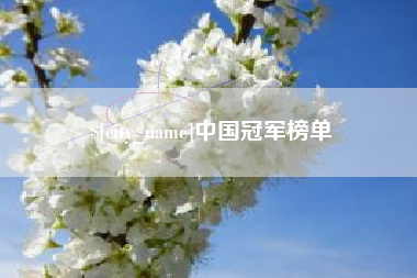 湛江中国冠军榜单