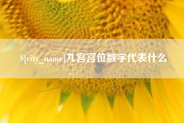 湛江九宫宫位数字代表什么