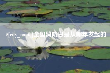 湛江全国消防日是从哪年发起的