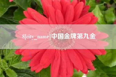 湛江中国金牌第九金
