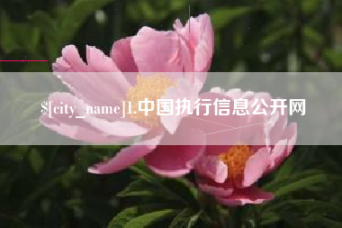 湛江1.中国执行信息公开网