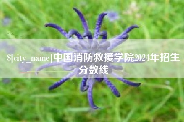 湛江中国消防救援学院2024年招生分数线