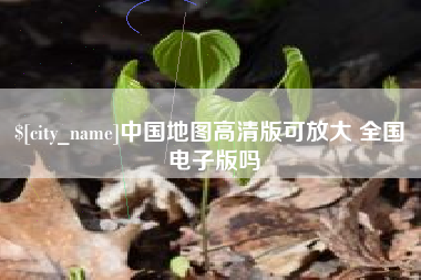 湛江中国地图高清版可放大 全国 电子版吗