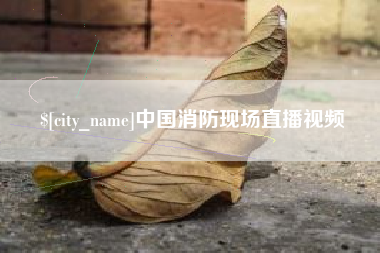 湛江中国消防现场直播视频