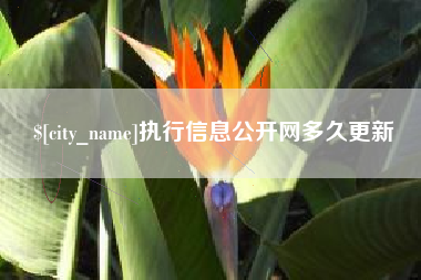 湛江执行信息公开网多久更新