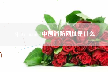 湛江中国消防网址是什么