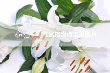 湛江九宫格盘点工具图片