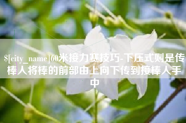 湛江60米接力赛技巧-下压式则是传棒人将棒的前部由上向下传到接棒人手中