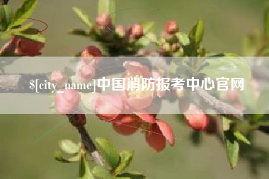 湛江中国消防报考中心官网