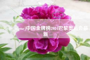 湛江中国金牌榜2024巴黎奥运会最新