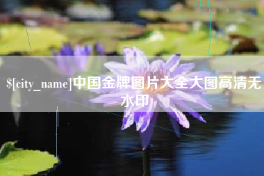 湛江中国金牌图片大全大图高清无水印