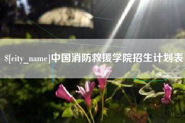 湛江中国消防救援学院招生计划表