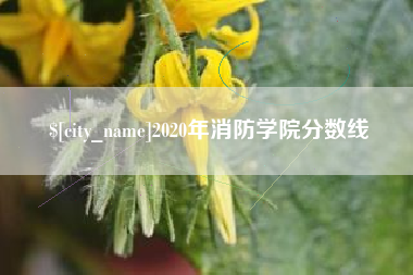 湛江2020年消防学院分数线