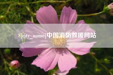 湛江中国消防救援网站