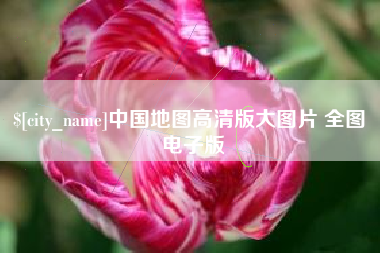 湛江中国地图高清版大图片 全图 电子版