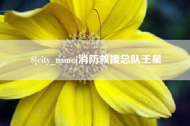湛江消防救援总队王星
