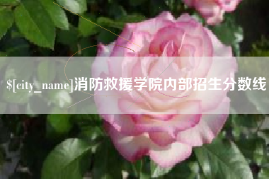 湛江消防救援学院内部招生分数线