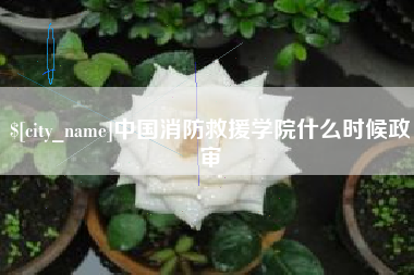 湛江中国消防救援学院什么时候政审