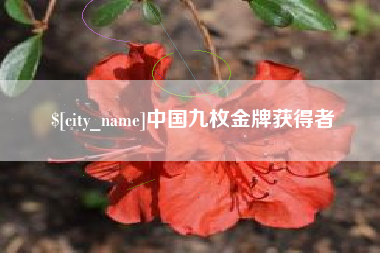 湛江中国九枚金牌获得者