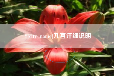 湛江九宫详细说明