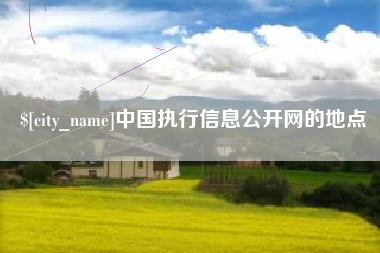湛江中国执行信息公开网的地点