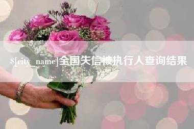 湛江全国失信被执行人查询结果
