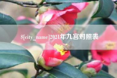 湛江2021年九宫对照表