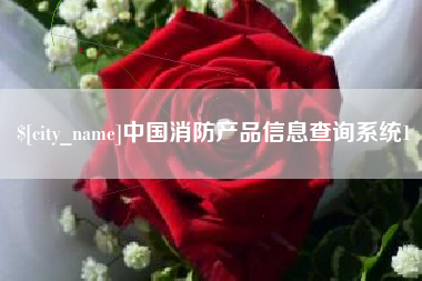 湛江中国消防产品信息查询系统1