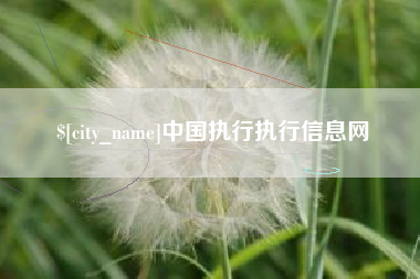 湛江中国执行执行信息网