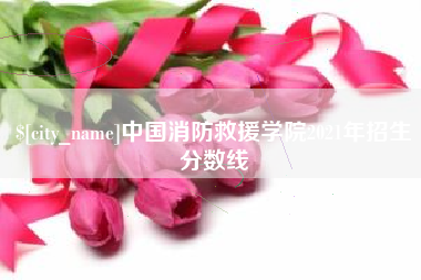 湛江中国消防救援学院2021年招生分数线