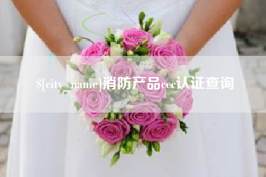 湛江消防产品ccc认证查询