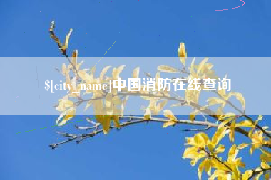 湛江中国消防在线查询