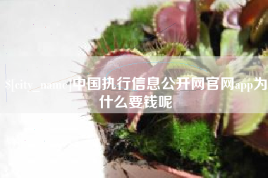 湛江中国执行信息公开网官网app为什么要钱呢