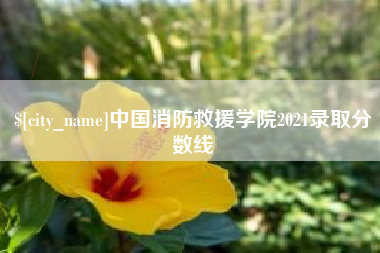 湛江中国消防救援学院2021录取分数线