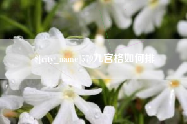 湛江579九宫格如何排