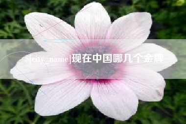湛江现在中国哪几个金牌