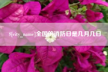 湛江全国的消防日是几月几日