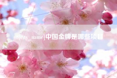 湛江中国金牌是哪些项目