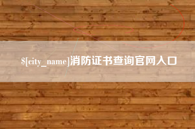 湛江消防证书查询官网入口