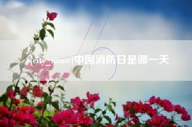 湛江中国消防日是哪一天