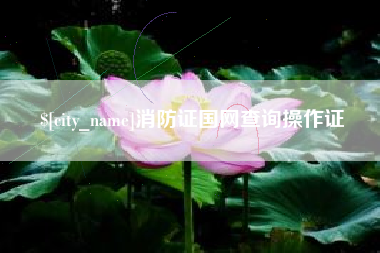 湛江消防证国网查询操作证