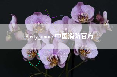 湛江中国消防官方