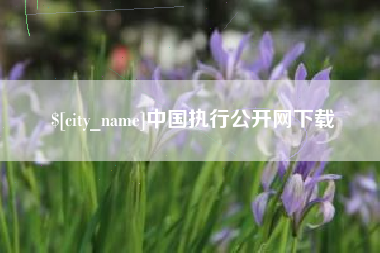 湛江中国执行公开网下载